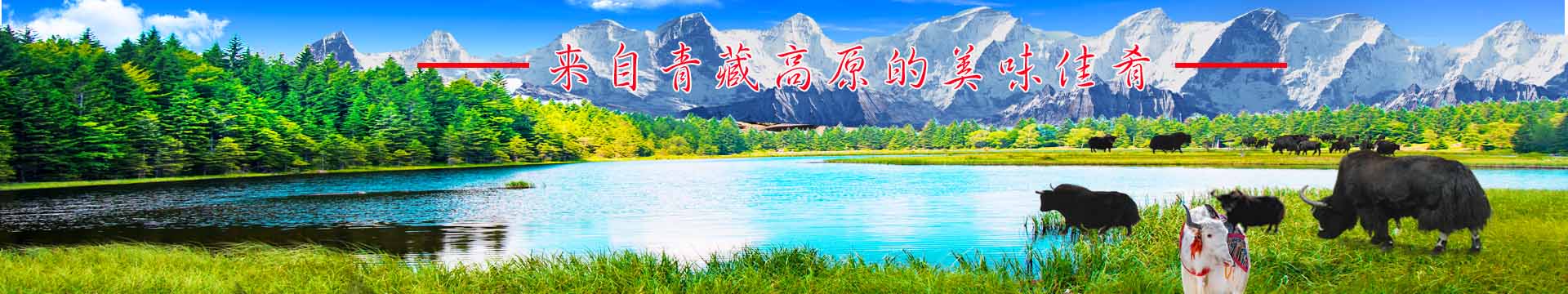 多元战术